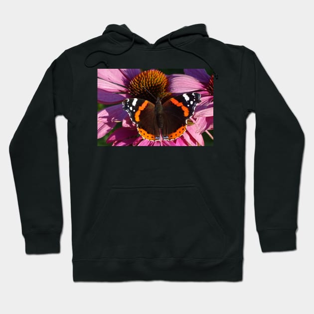 Red Admiral on Ecinachea Purpurea Hoodie by AH64D